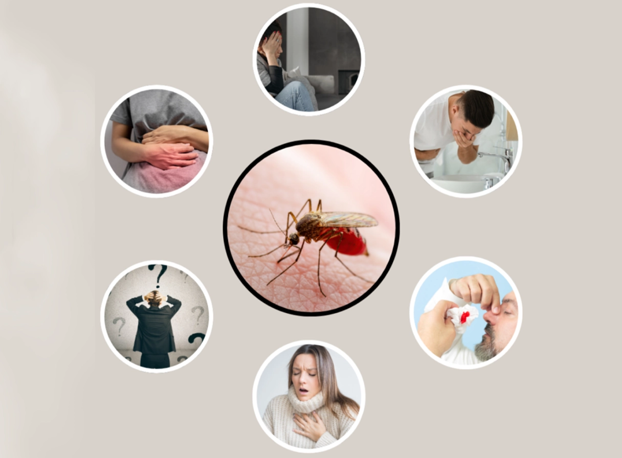 7 Warning Signs of Dengue Fever: Symptoms, Types, Stages & Treatment Guide
